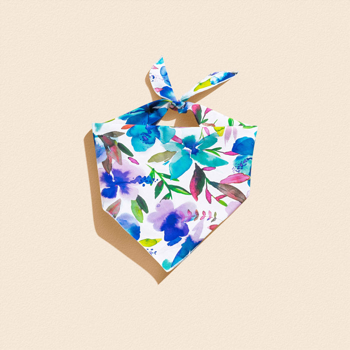 Bandanas That Make Every Walk a Photo Op