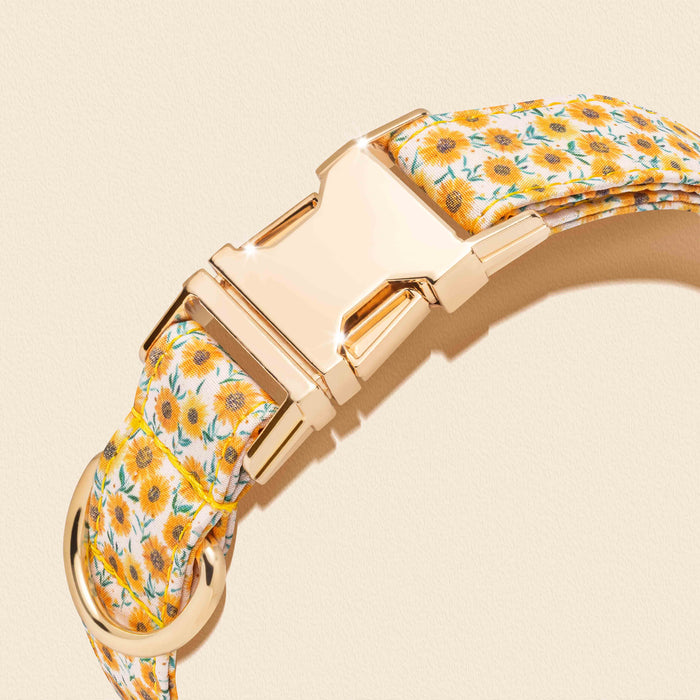 Sunflower Collection