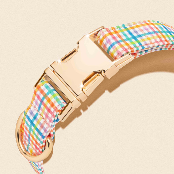 Collars That Celebrate Their Personality