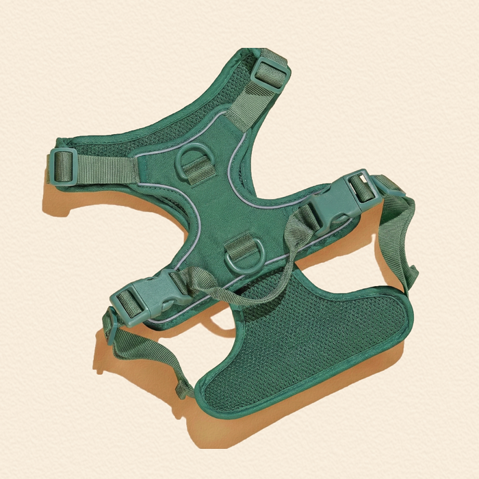 Forest Green Dog Harness Walking Set