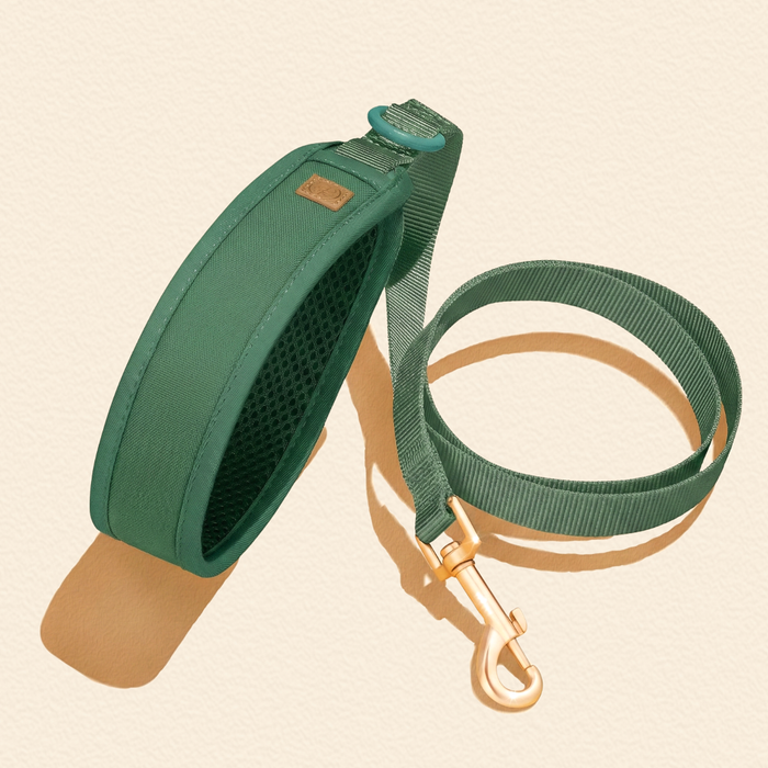 Forest Green Dog Harness Walking Set