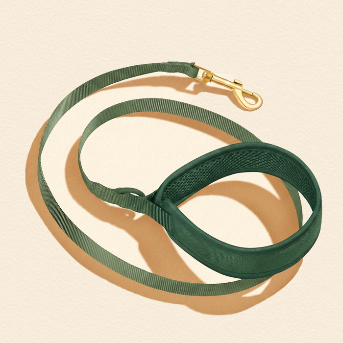 Forest Green Dog Harness Walking Set