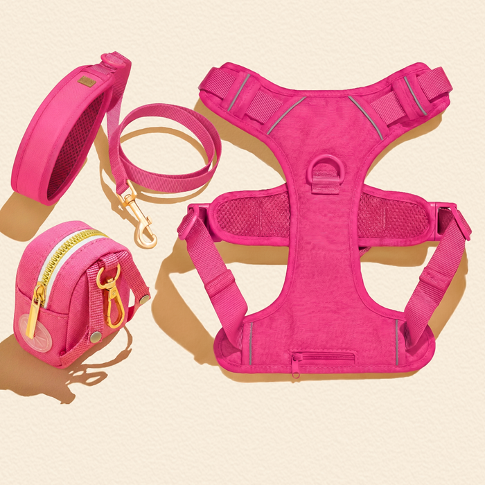 Hot Pink Dog Harness Walking Set