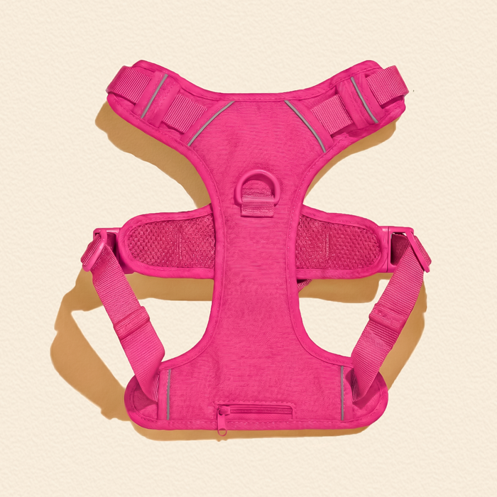 Hot Pink Dog Harness Walking Set