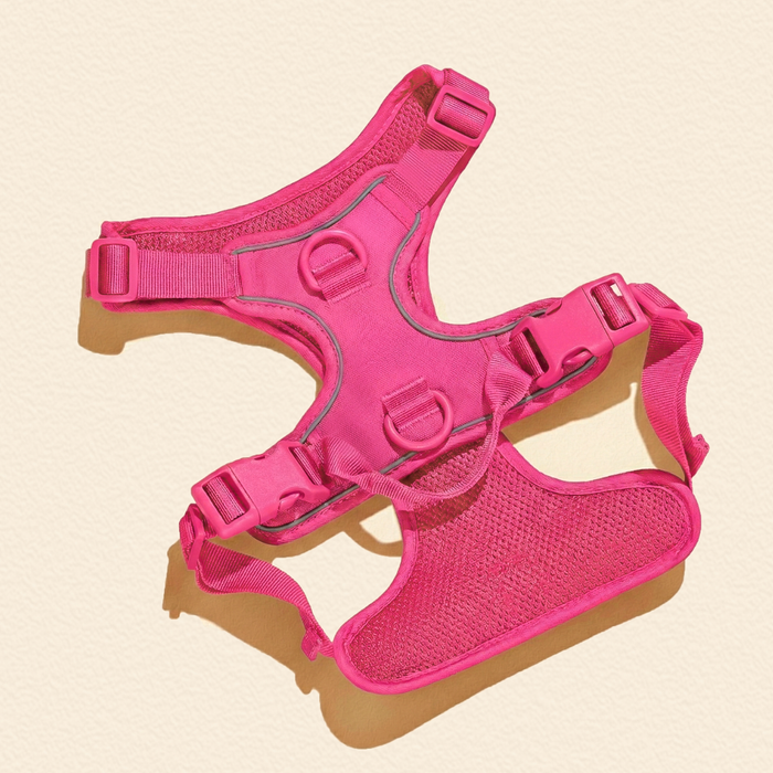 Hot Pink Dog Harness Walking Set