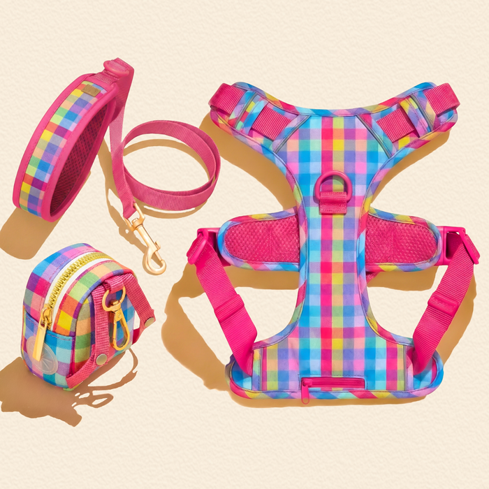 Pink Pastel Gingham Dog Harness Walking Set