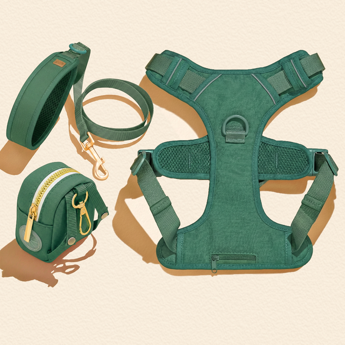Forest Green Dog Harness Walking Set
