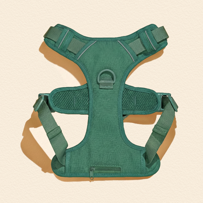 Forest Green Dog Harness Walking Set