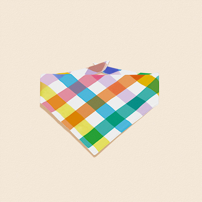 Gingham Rainbow Pride - Starter Set