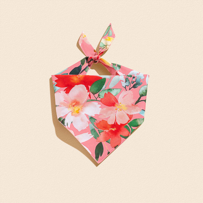 Oleander Florals - Matching Collar and Bandana Set