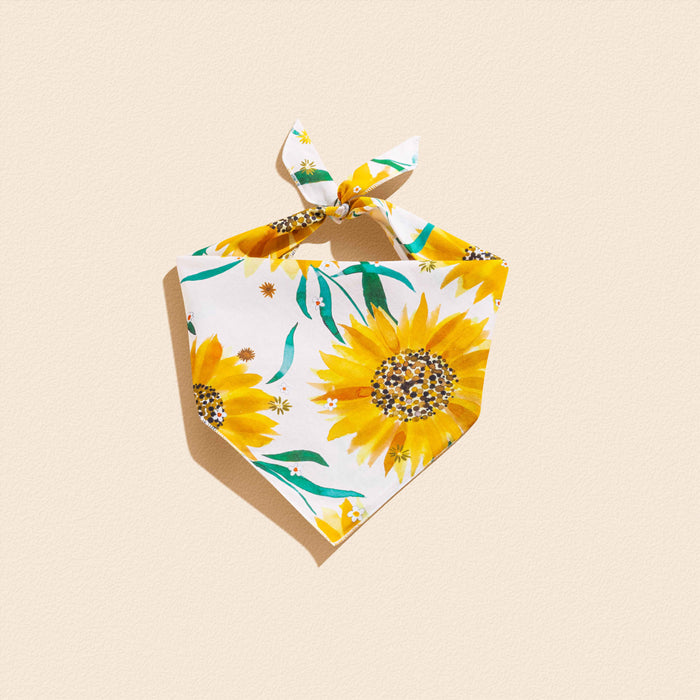 Golden Sunflower - Matching Collar and Bandana Set
