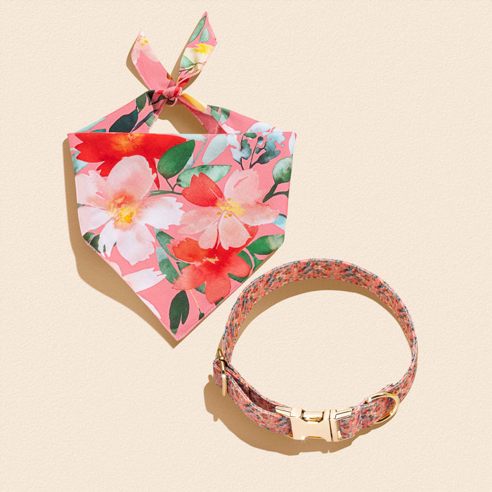 Oleander Florals - Matching Collar and Bandana Set