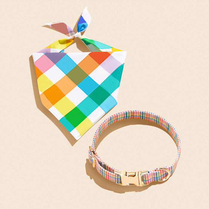 Gingham Rainbow Pride - Matching Collar and Bandana Set