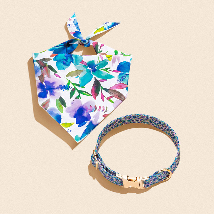 Blue Hibiscus Florals - Matching Collar and Bandana Set