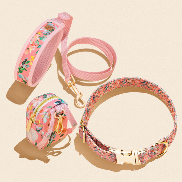 Oleander Florals Dog Leash