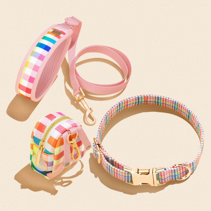 Gingham Rainbow Dog Leash