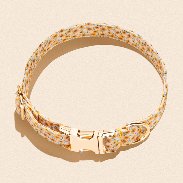 Golden Sunflower - Matching Collar and Bandana Set