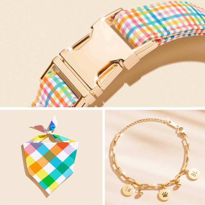 Gingham Rainbow Pride - Special Bond Collection