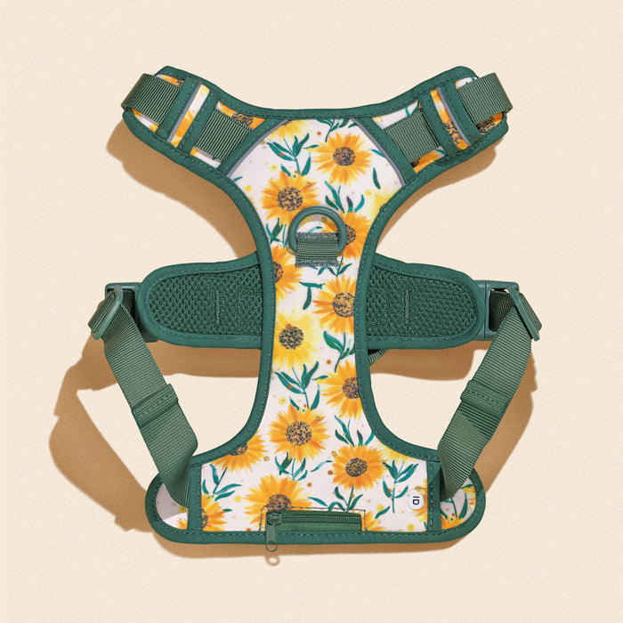 Golden Sunflower Dog Harness