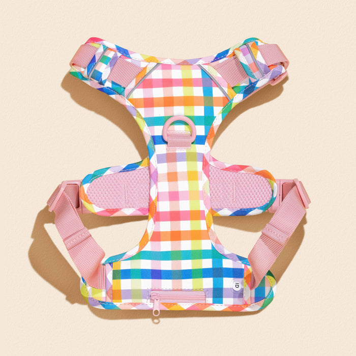 Gingham Rainbow Dog Harness Walking Set