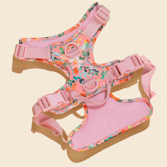 Oleander Florals Dog Harness Walking Set