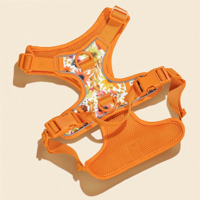 Sunflower Florals Dog Harness Walking Set