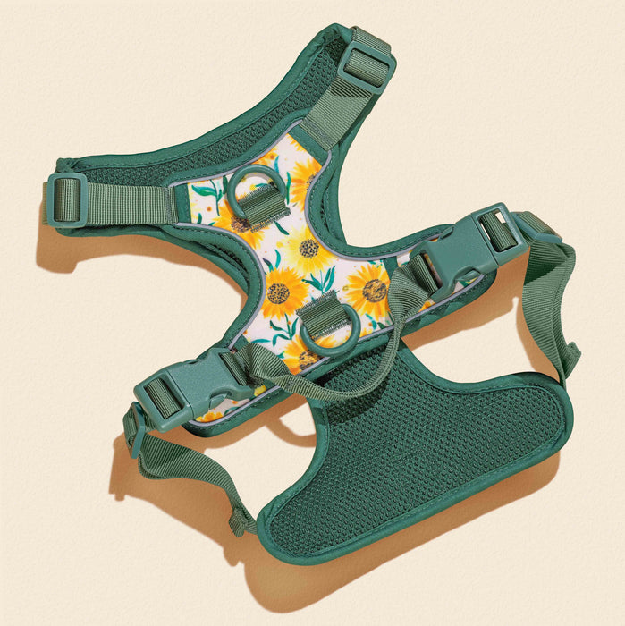 Golden Sunflower Dog Harness Walking Set