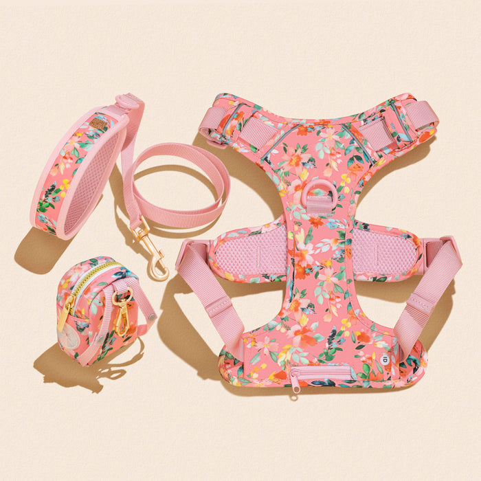 Oleander Florals Dog Harness Walking Set