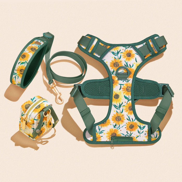 Golden Sunflower Dog Harness