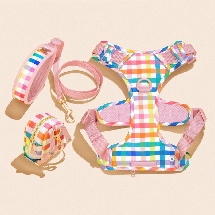 Gingham Rainbow Dog Leash