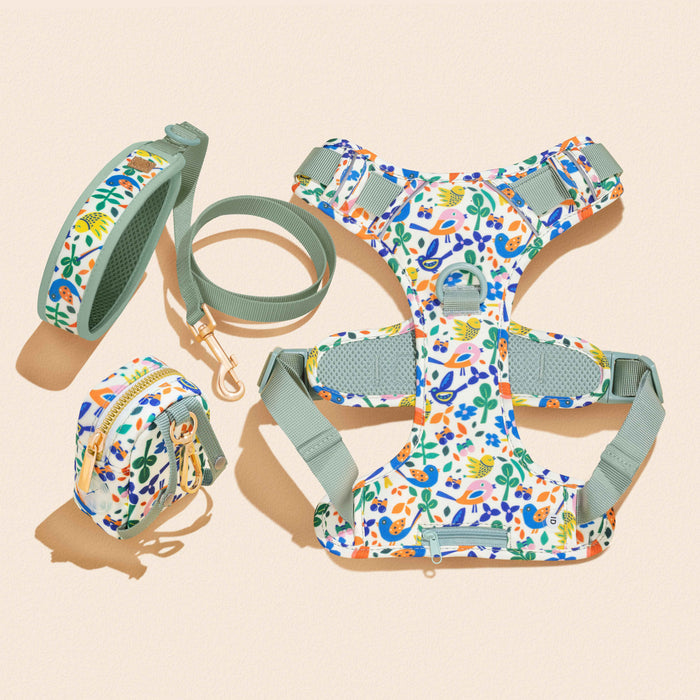 A Bird's World Dog Harness Walking Set