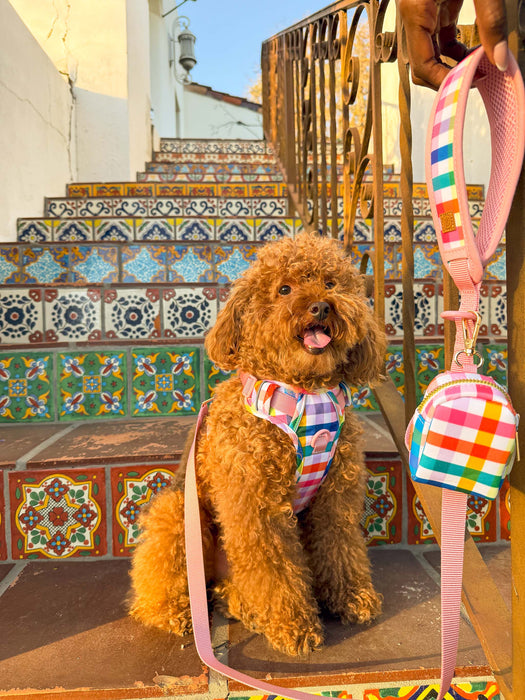 Gingham Rainbow Dog Harness