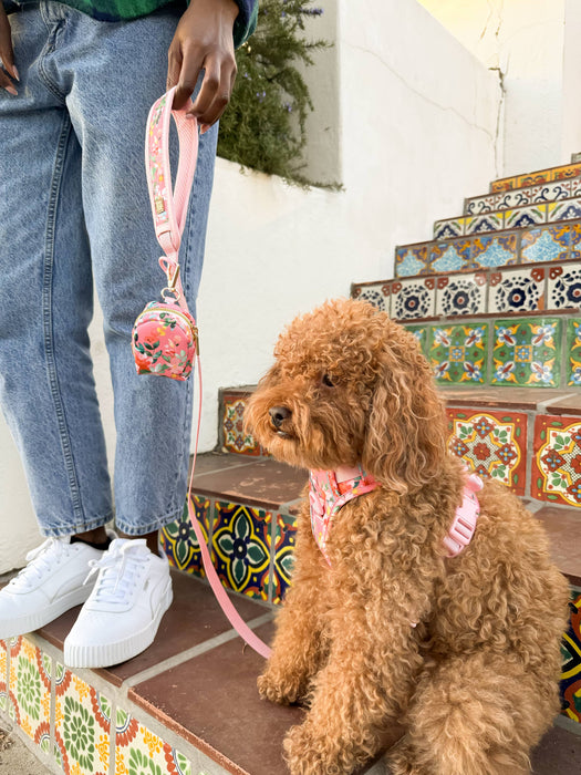 Oleander Florals Dog Harness Walking Set