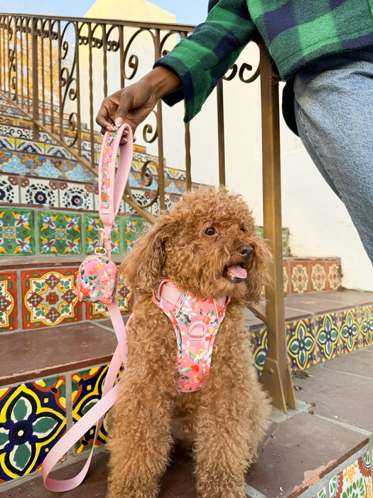 Oleander Florals Dog Harness Walking Set