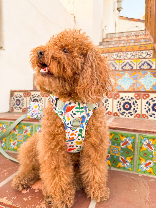 A Bird's World Dog Harness