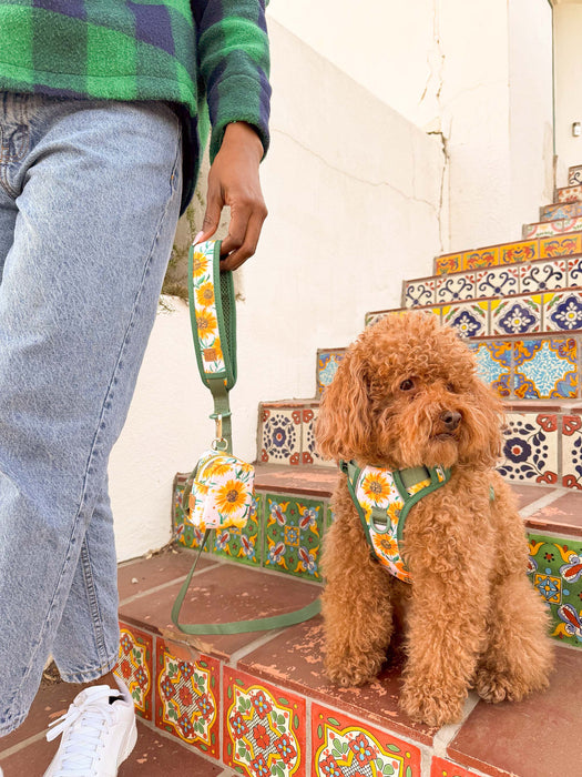 Golden Sunflower Dog Harness