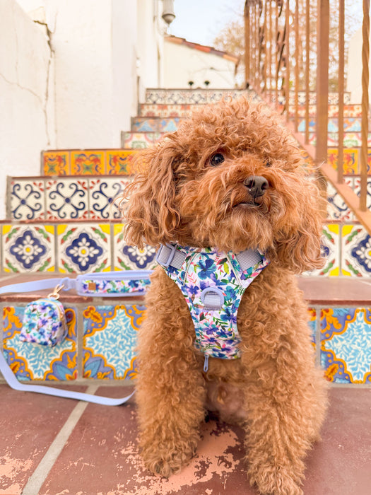 Blue Hibiscus Florals Dog Harness