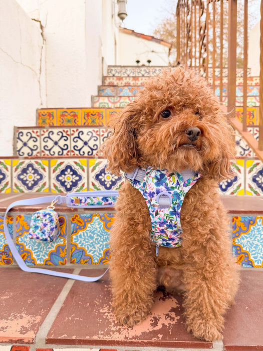 Blue Hibiscus Florals Dog Harness