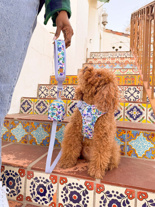 Blue Hibiscus Florals Harness Walking Set