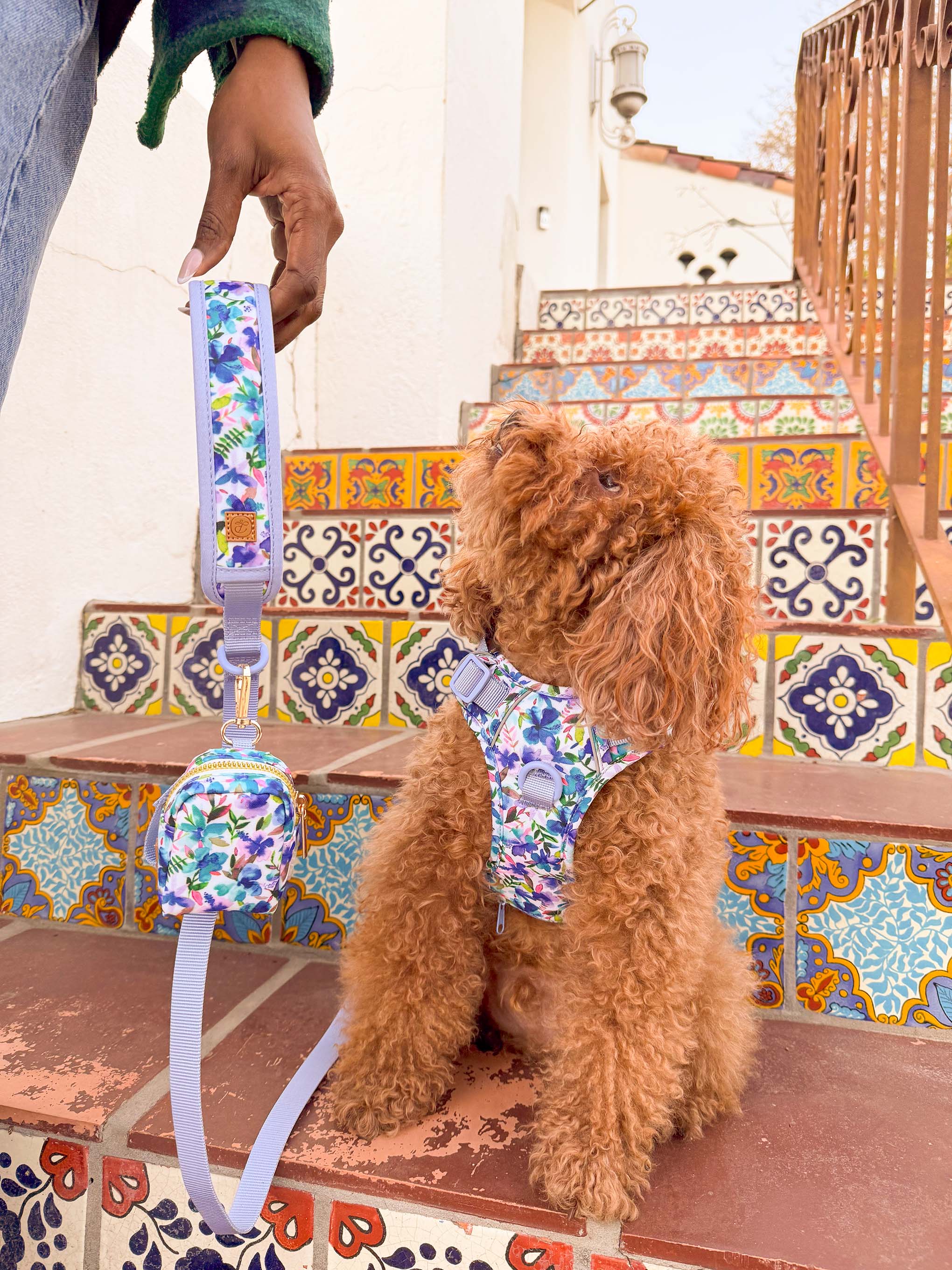 Blue Hibiscus Florals Dog Harness Walk Set– The Purpose Brand