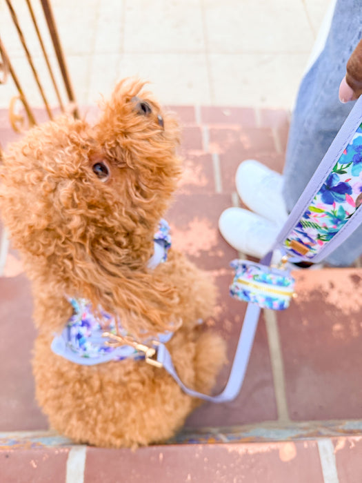 Blue Hibiscus Florals Harness Walking Set