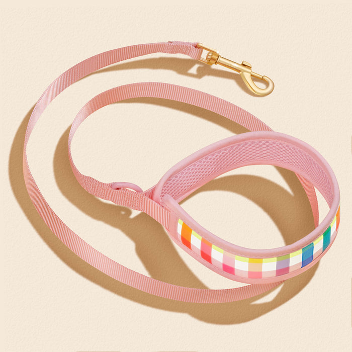 Gingham Rainbow Dog Leash