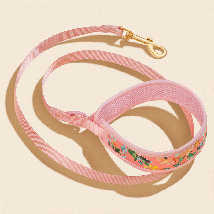 Oleander Florals Dog Collar Walking Set