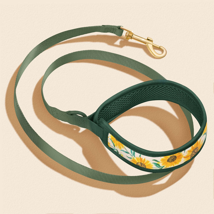 Golden Sunflower Dog Collar Walking Set