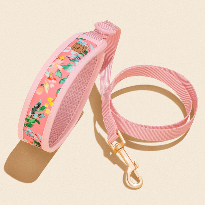 Oleander Florals Dog Collar Walking Set