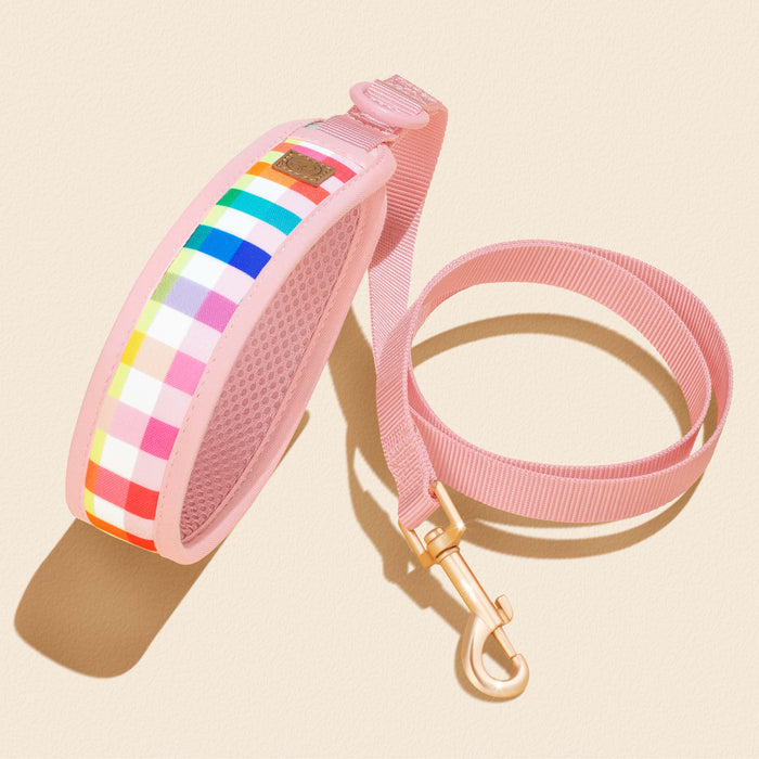 Gingham Rainbow Dog Harness Walking Set