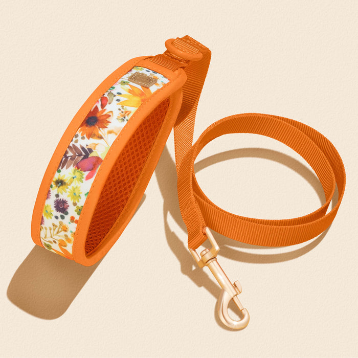 Sunflower Florals Dog Collar Walking Set