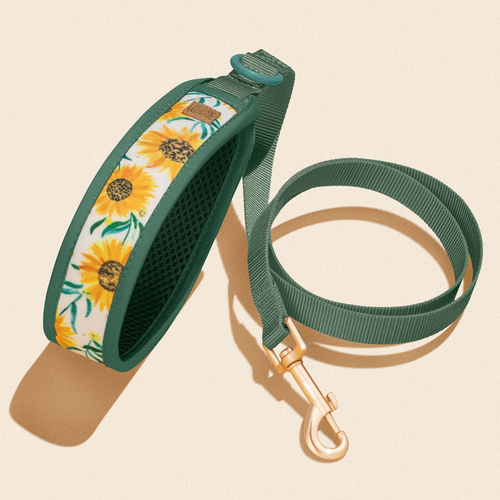 Golden Sunflower Dog Collar Walking Set